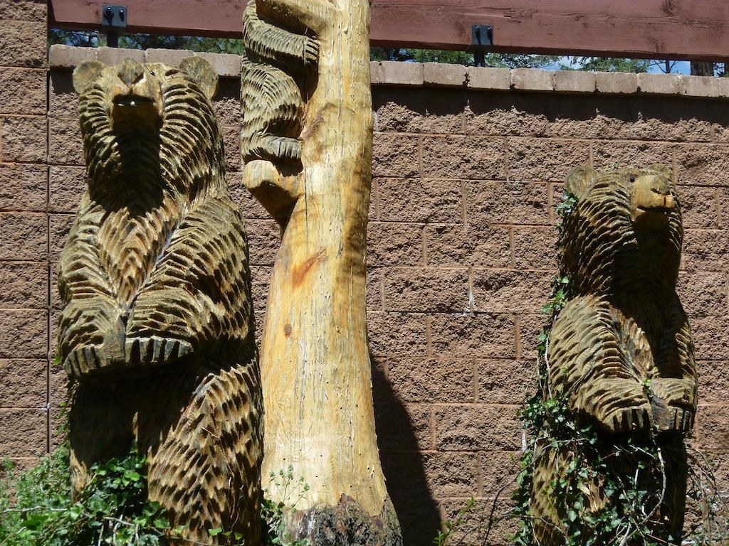 Ruidoso River Resort Condos المظهر الخارجي الصورة