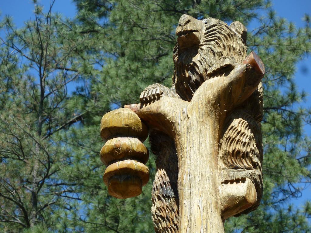 Ruidoso River Resort Condos المظهر الخارجي الصورة